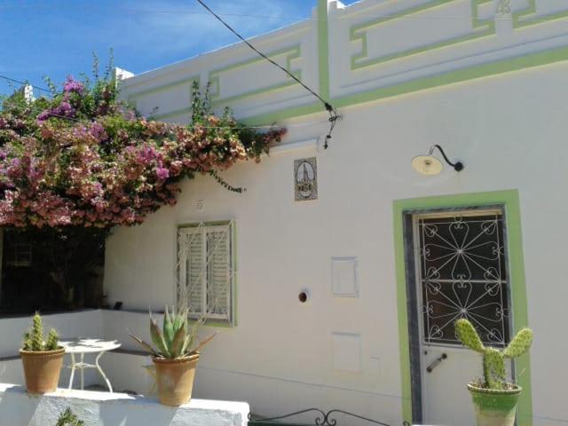 Casa Da Cabeca Hotel Azinheiro Eksteriør billede