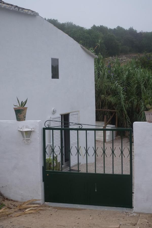 Casa Da Cabeca Hotel Azinheiro Eksteriør billede