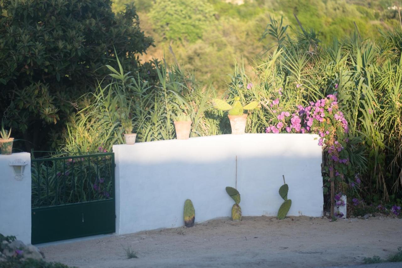 Casa Da Cabeca Hotel Azinheiro Eksteriør billede