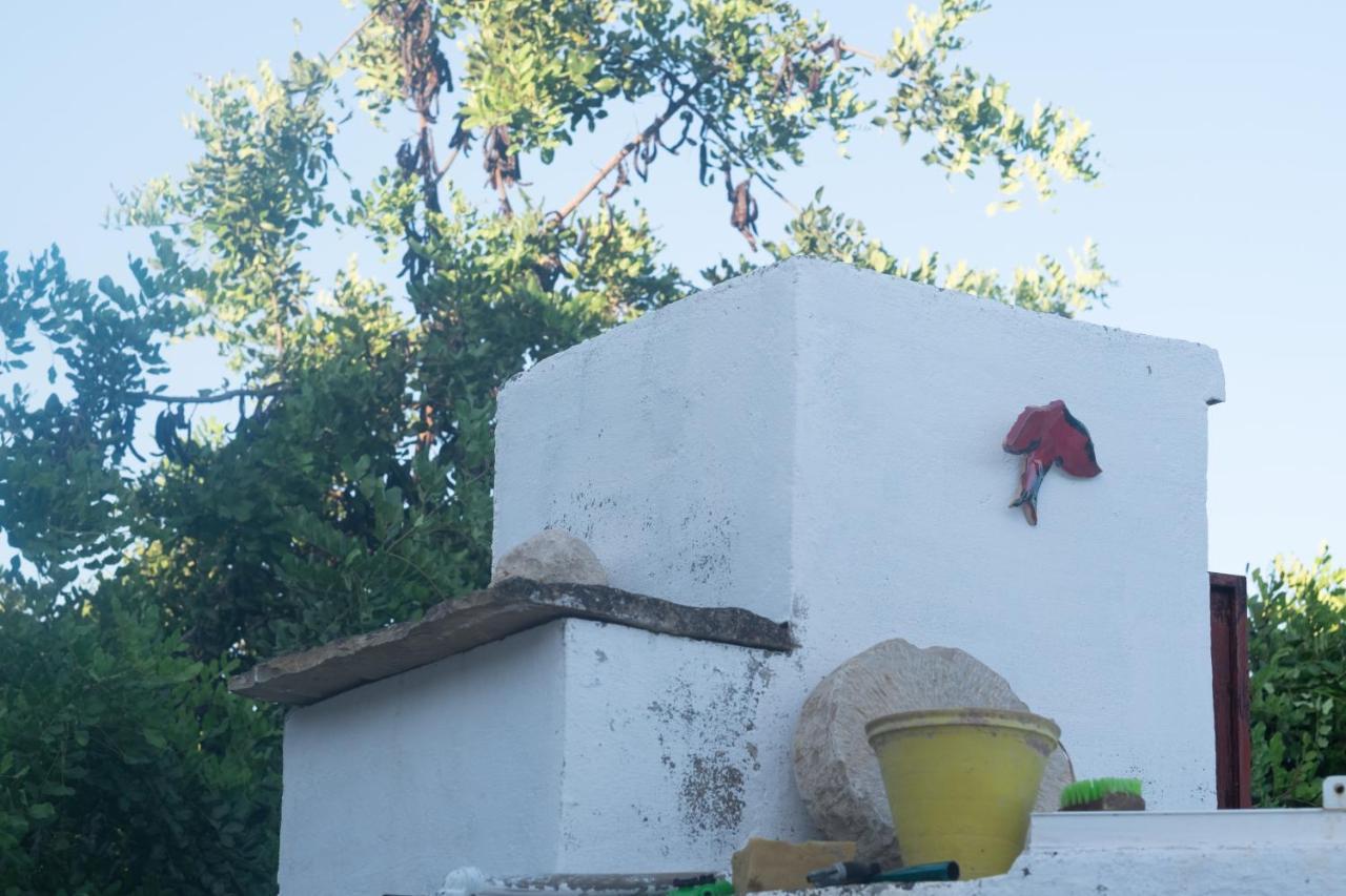 Casa Da Cabeca Hotel Azinheiro Eksteriør billede